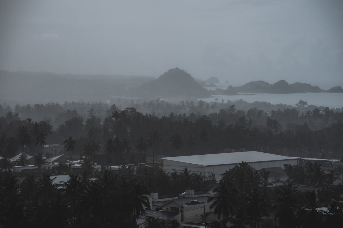 Rainy coastal landscape with fog, distant hills, palm trees, and dark rooftops under a gray sky