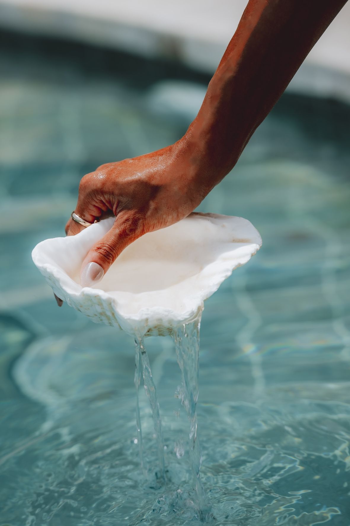 Hand holding a white shell over turquoise water, with water dripping from it