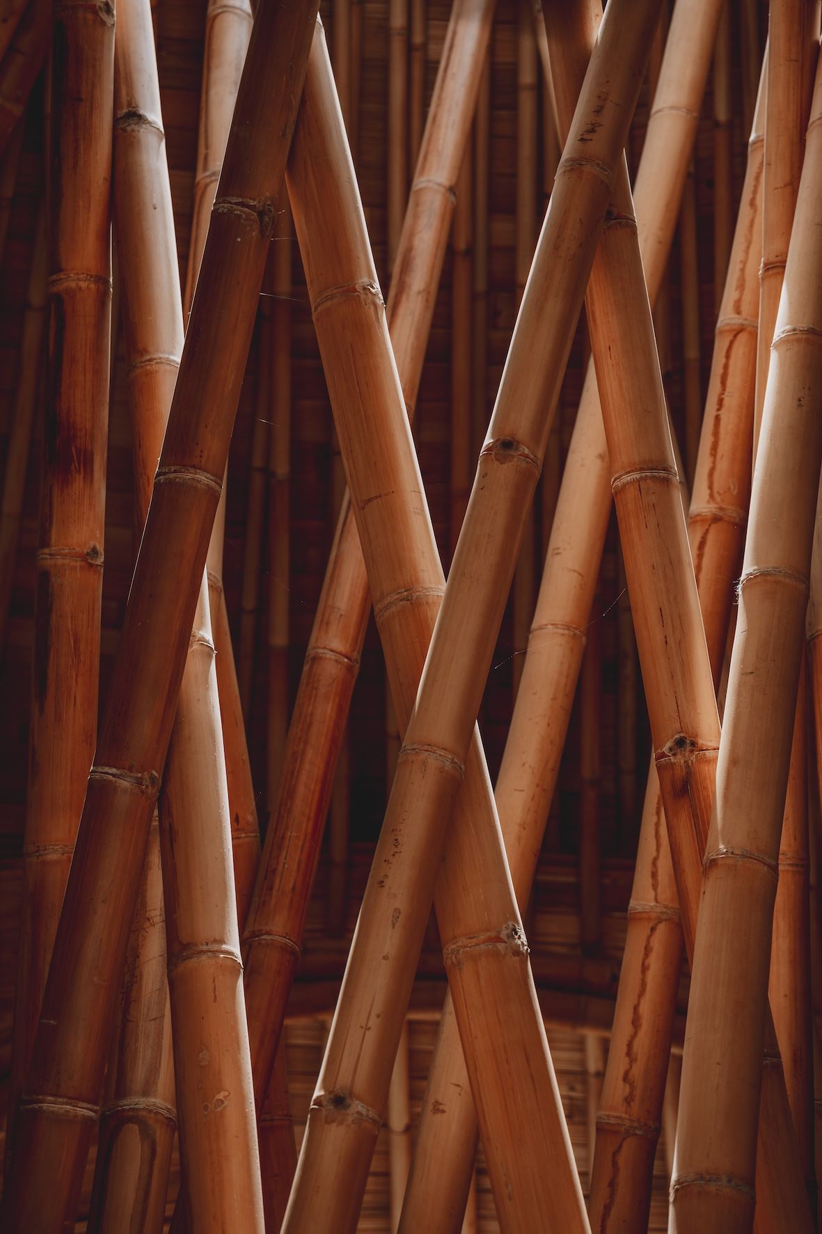 Brown bamboo poles crisscrossed in a tight vertical pattern
