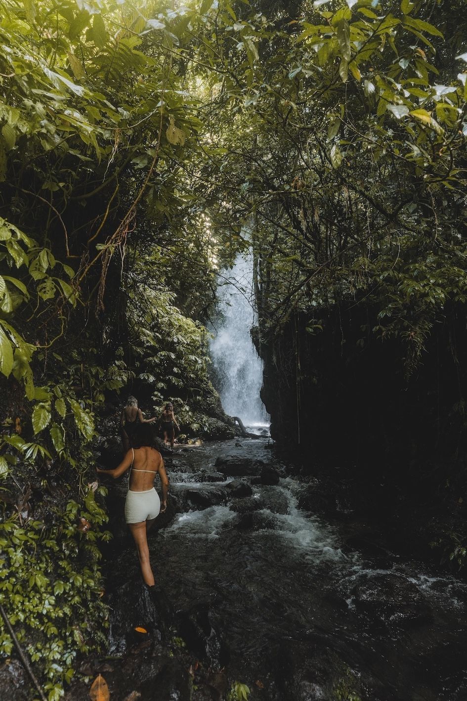 Person walking up rocks toward a waterfall in a lush forest