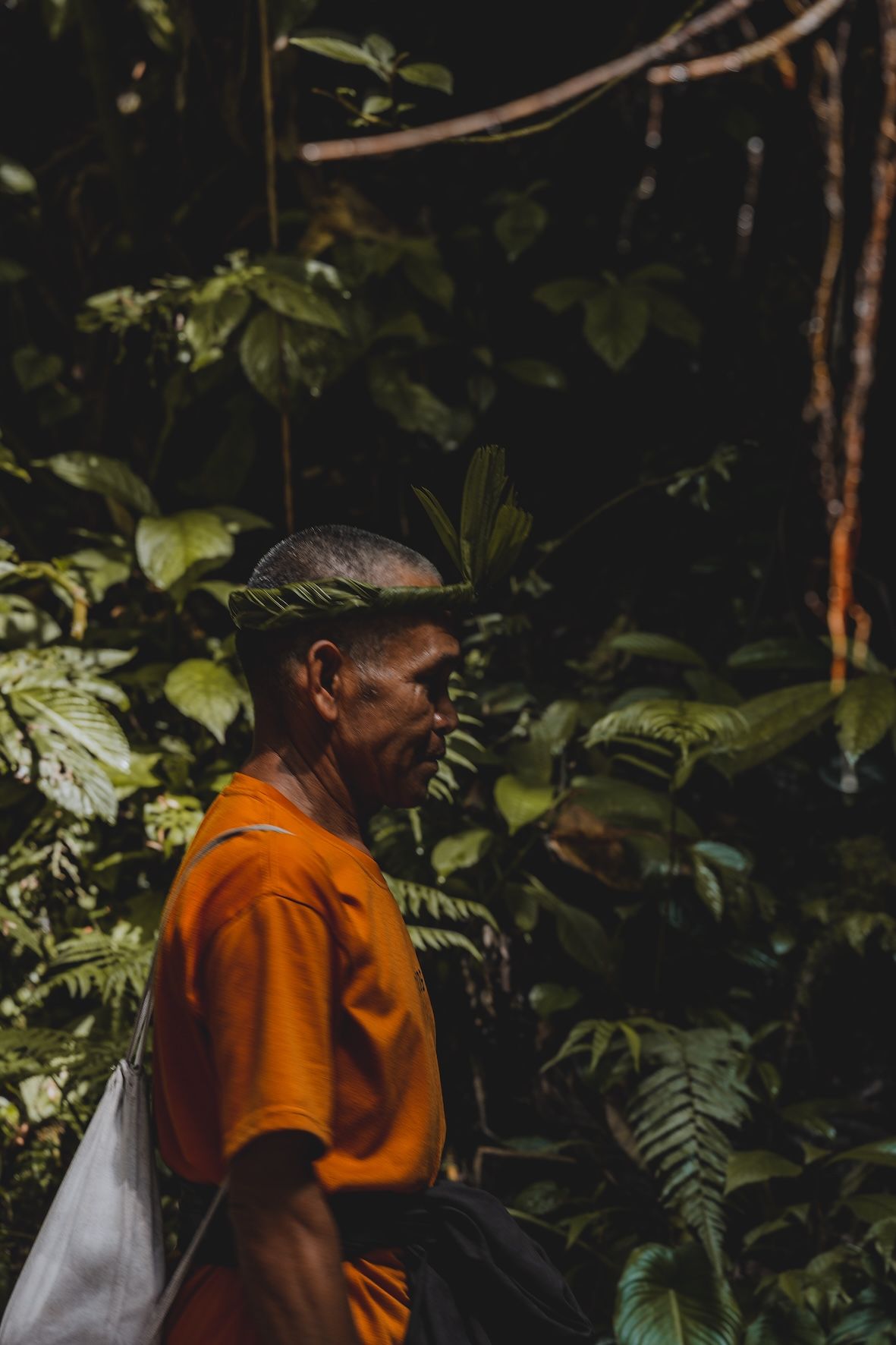 Person in an orange shirt and hat standing in a dense forest.