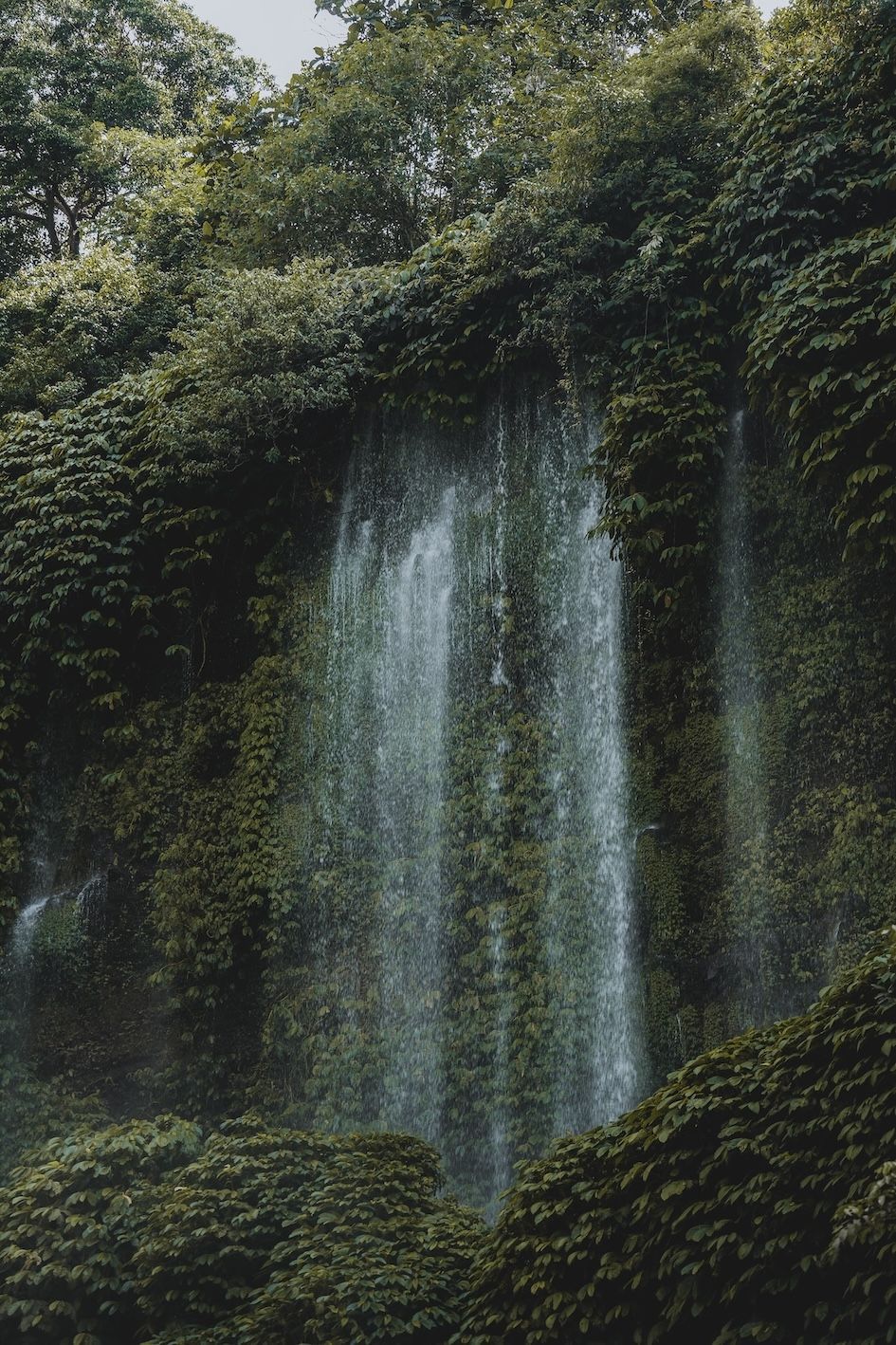 Tall waterfall cascading through dense green forest foliage