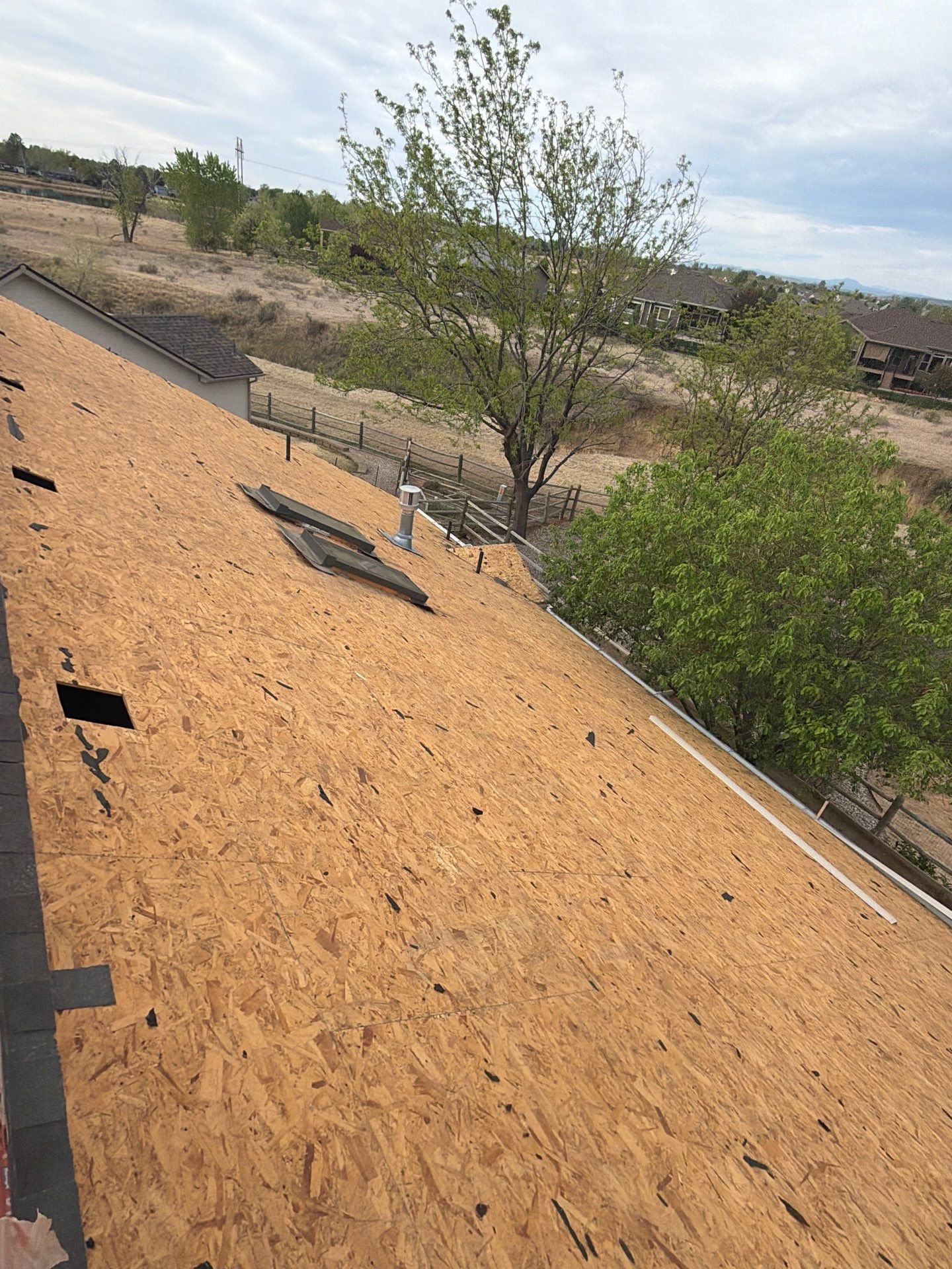 Roof under construction with plywood sheathing, vents, and a tree-lined landscape in the background