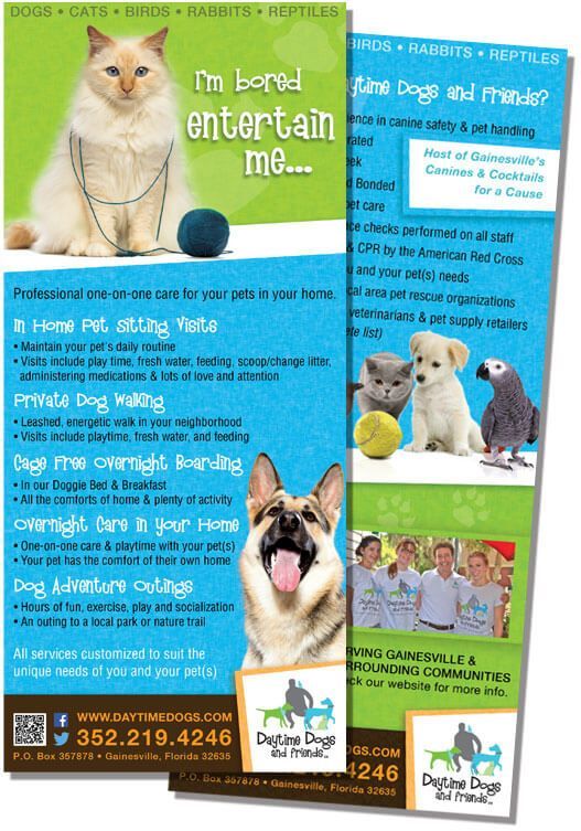Flyer with a cat, dog, and other animals, advertising pet services like walking, boarding, and adventure outings.