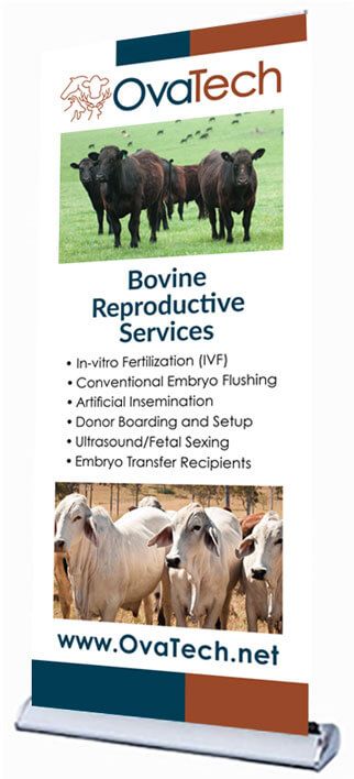 Roll-up banner for OvaTech. Features cattle, bovine reproductive services, and website address.