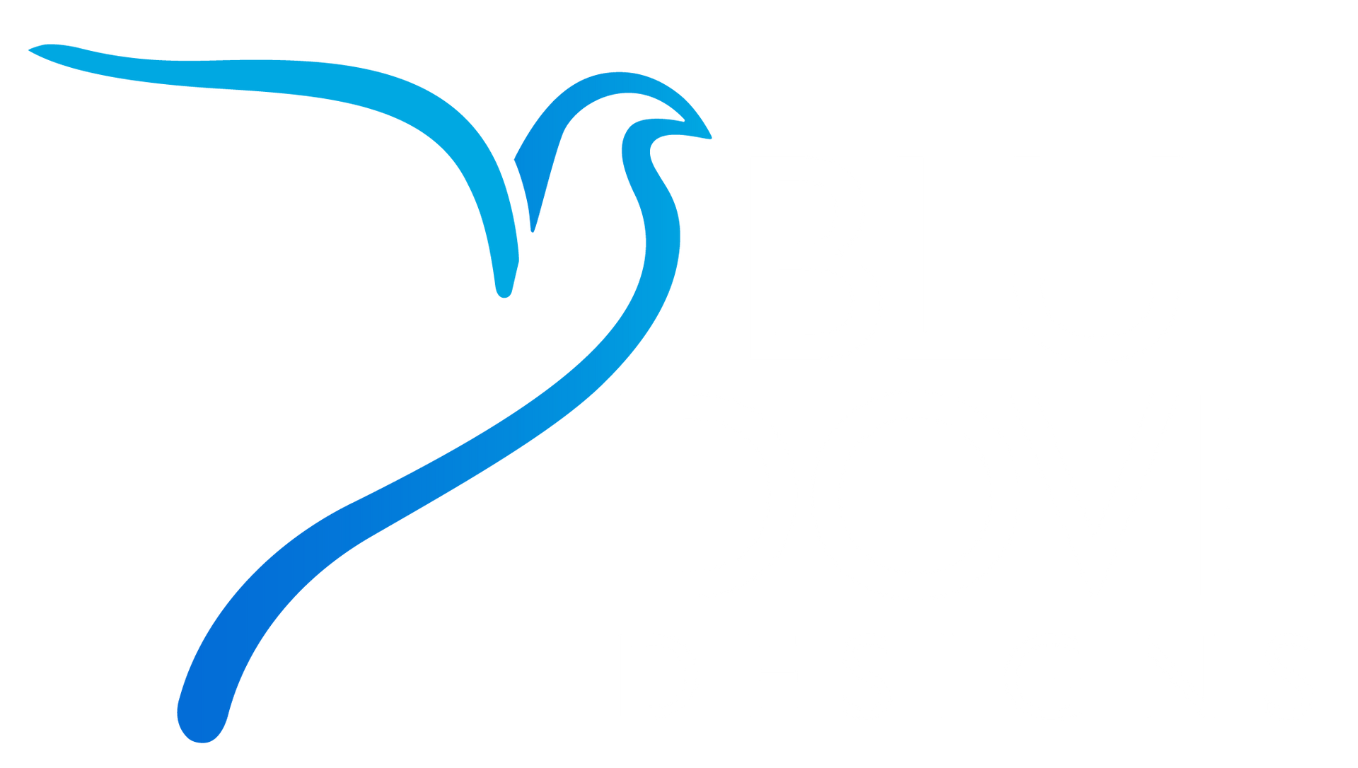 Blu Dove Designs logo containing the outline of a blue dove and 