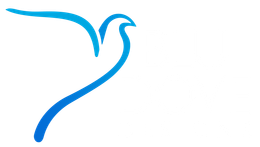 Blu Dove Designs logo containing the outline of a blue dove and 