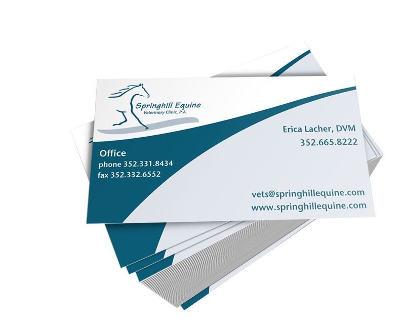 Business cards for Springfield Equine with logo and contact information. Teal and white.