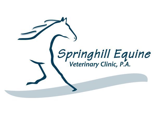 Logo with stylized horse running and the words Springhill Equine