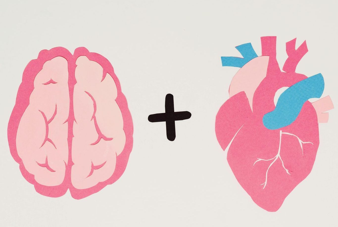 Un'immagine grafica che mostra l'illustrazione rosa di un cervello umano, un segno più nero e un cuore umano rosa e blu.