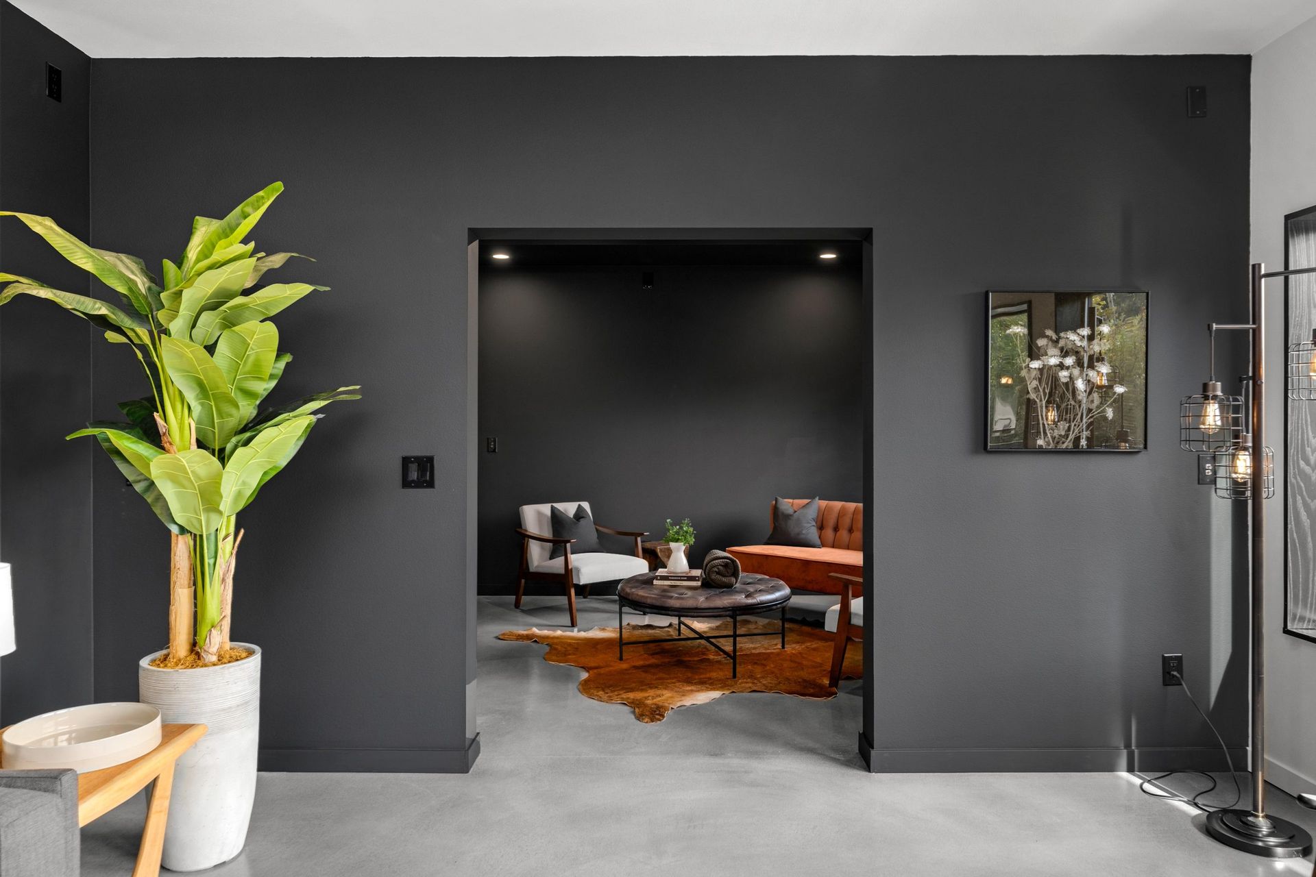Modern living room with dark gray walls, orange sofa, coffee table, and a large potted plant by the entrance