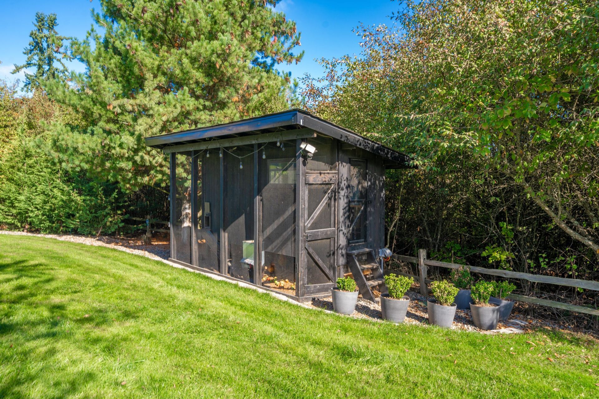 Small outdoor shed with potted plants beside a grassy lawn and trees
