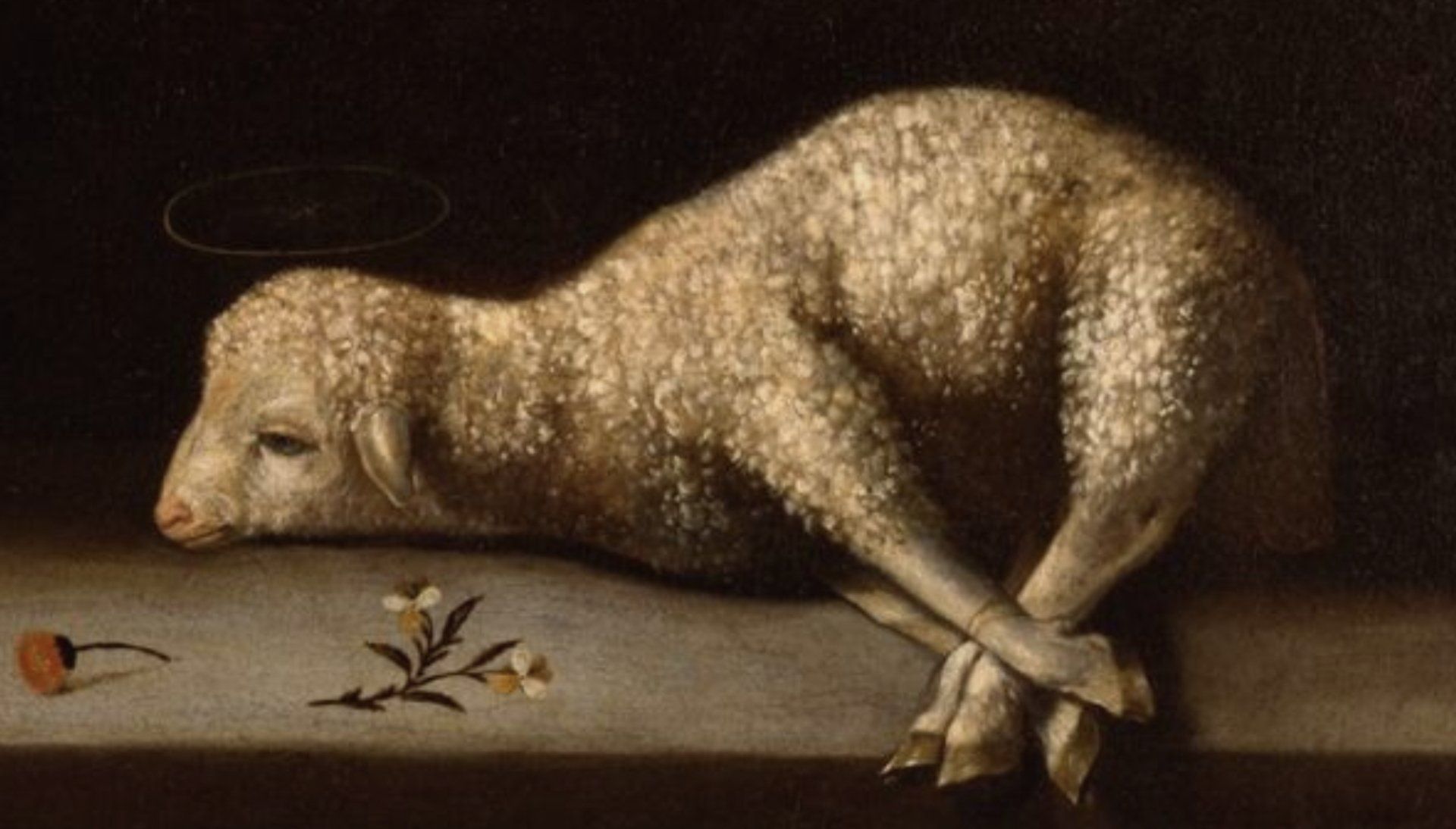 Lamb with a halo, lying on a surface with crossed legs; flowers and fruit at its feet.