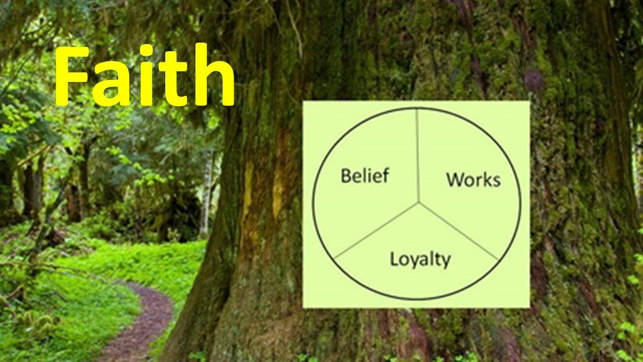 A diagram of faith: Belief, Works, and Loyalty, over a tree in a forest setting.