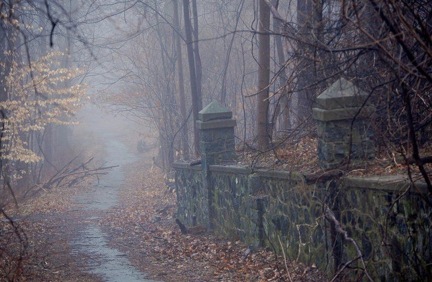 A foggy path bordered by a stone wall in a wooded area. Bare trees line the path, with low visibility.
