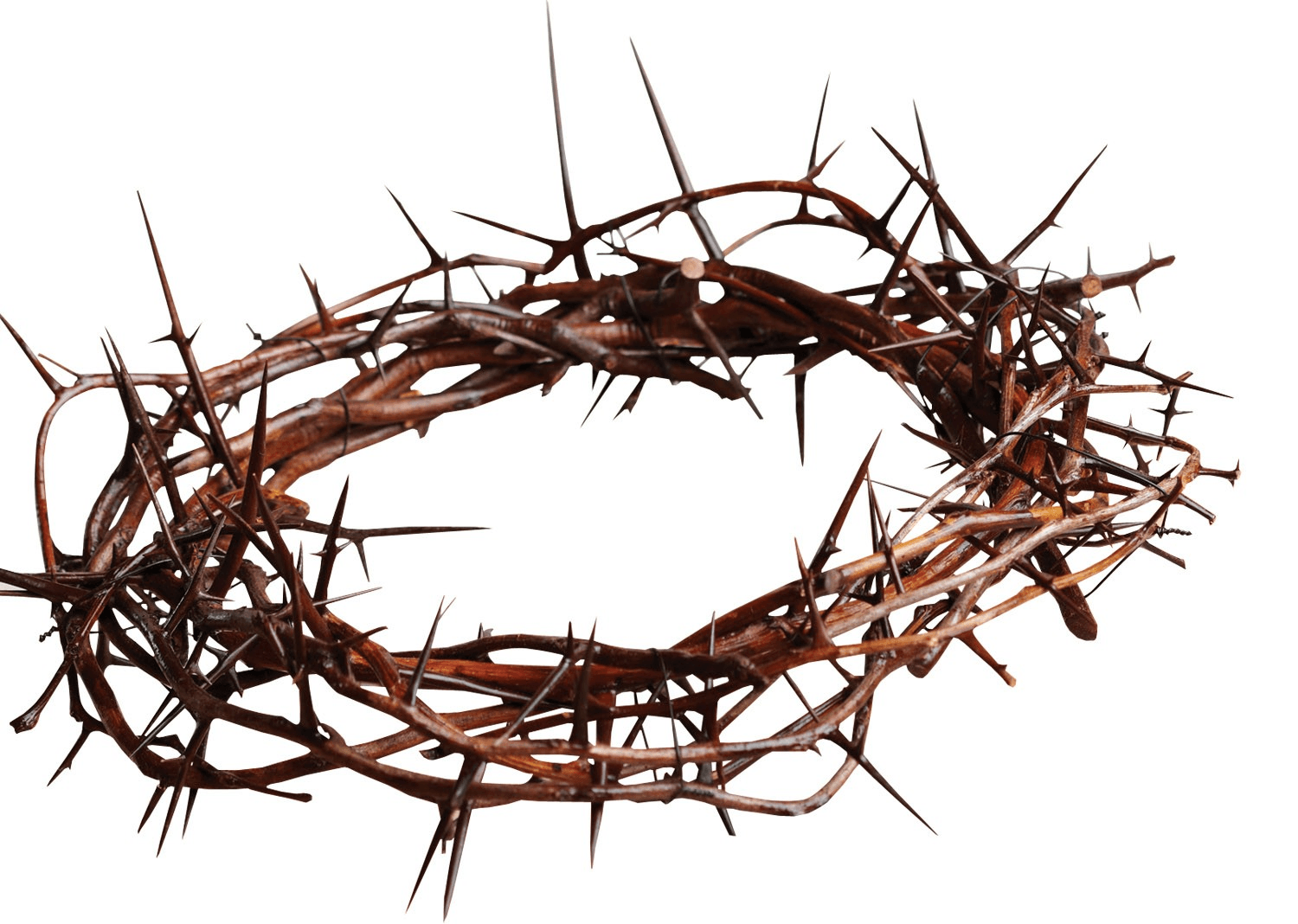 Crown of thorns, brown and thorny, a religious symbol.