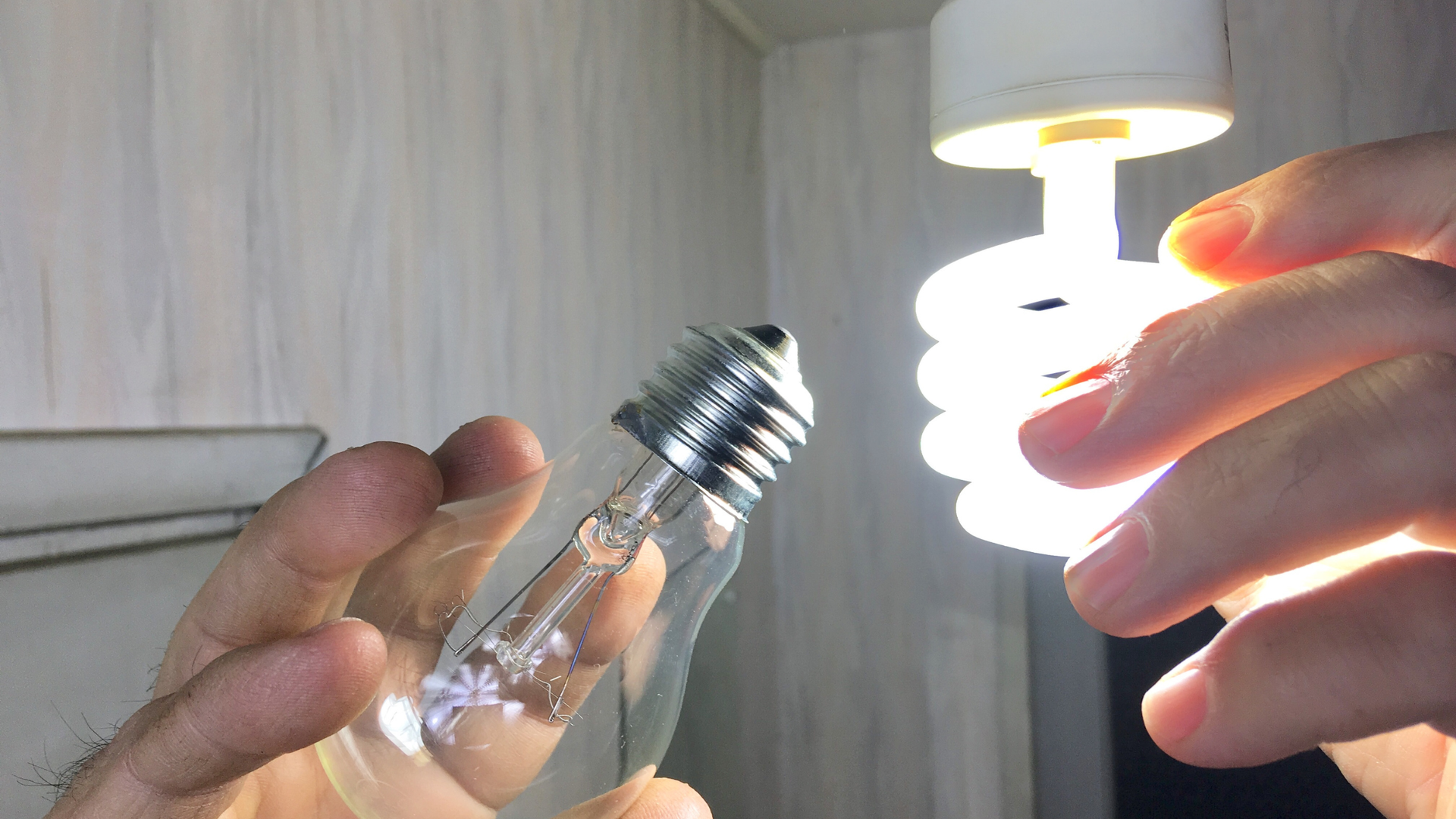 Hands hold a spiral CFL bulb and an incandescent bulb for comparison under indoor light.
