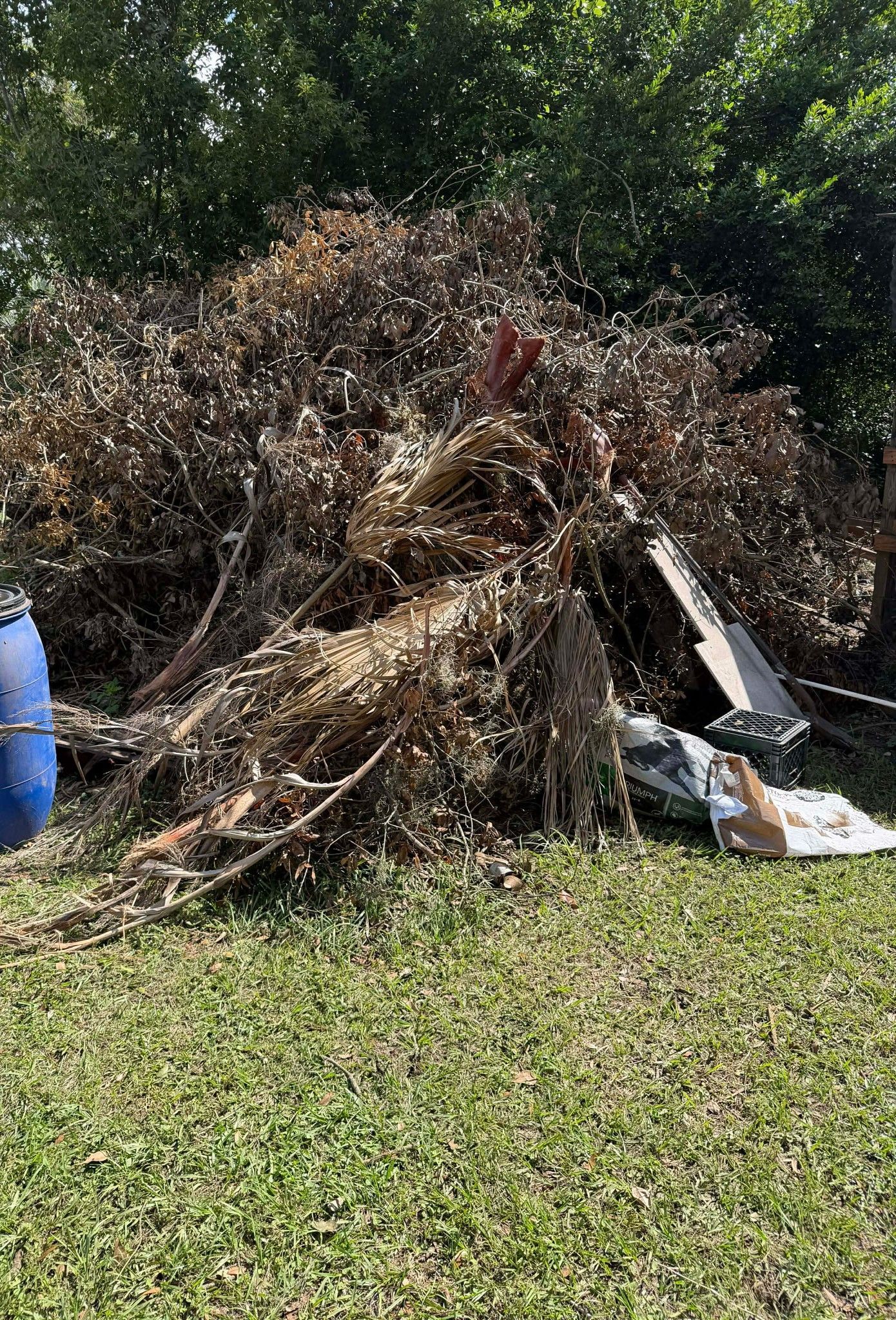 Overgrown yard waste and debris being cleared from a property in Lakeland, Florida