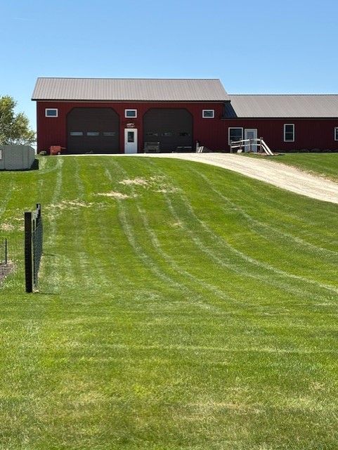 Lawnmower cutting green grass in a yard, with a line of tall green bushes in the background.