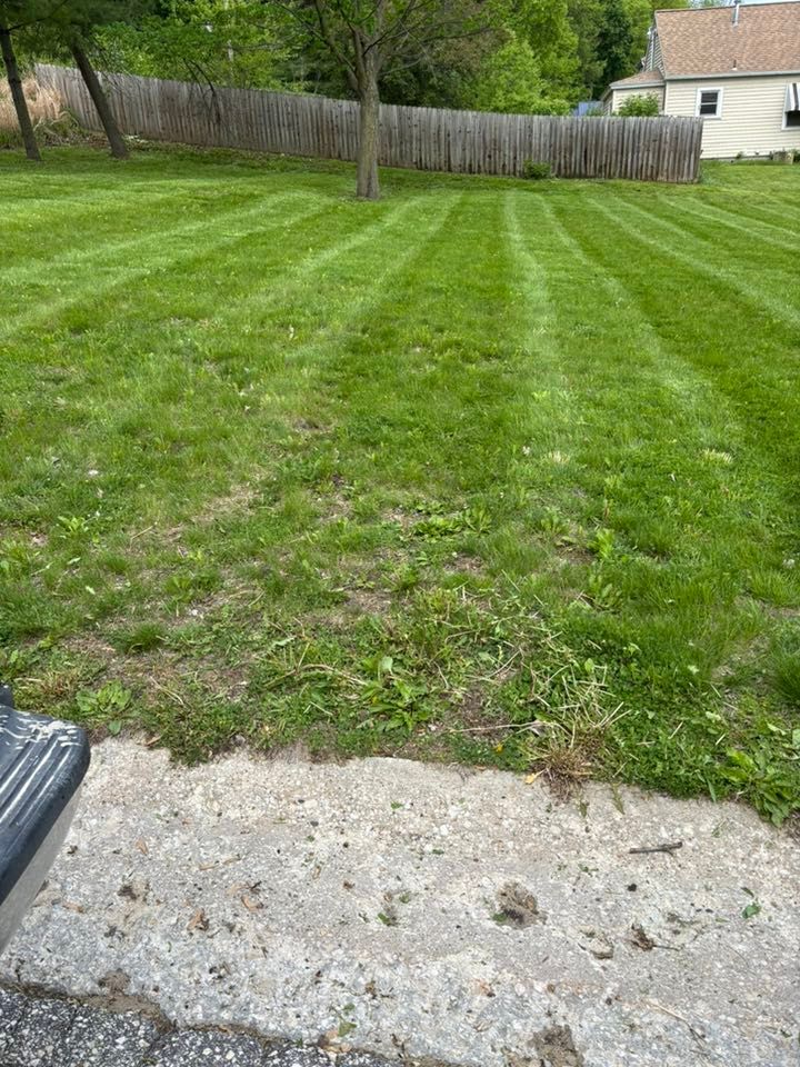 Man mowing a lush green lawn in a garden, wearing safety gear.