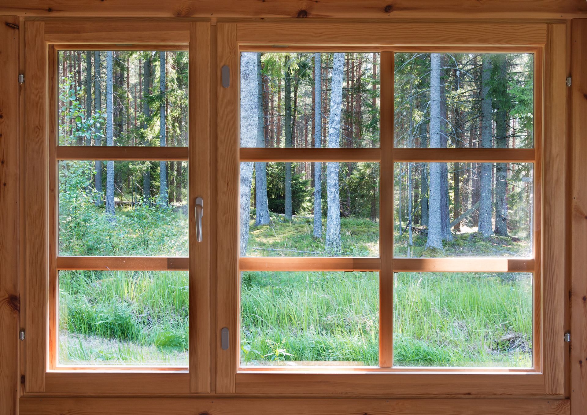 Wooden-framed window with view of a green grassy area and tall trees in a forest. Wooden-framed window with view of a green grassy area and tall trees in a forest.