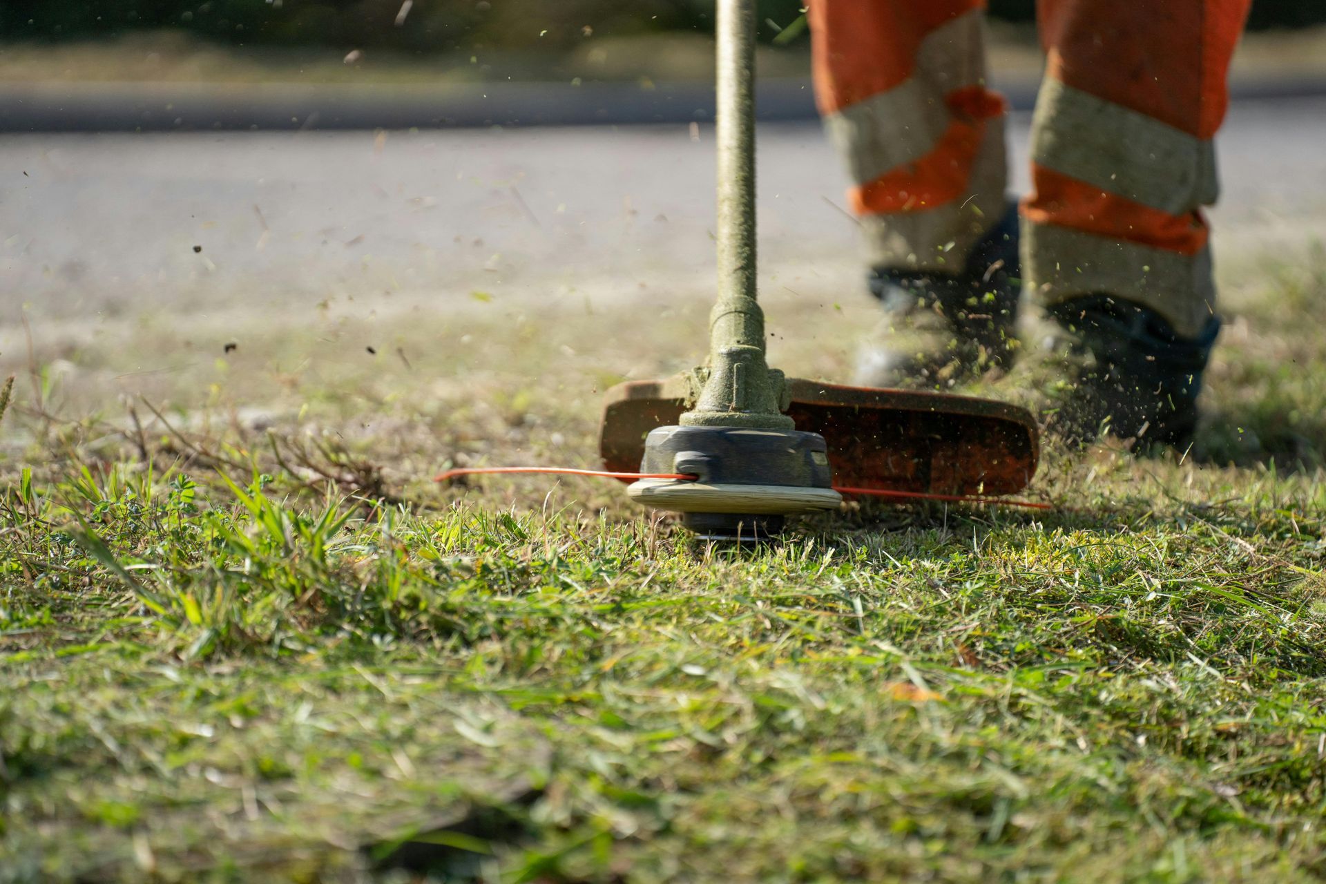 Worker using a string trimmer to cut grass near a roadside, with orange safety pants visible