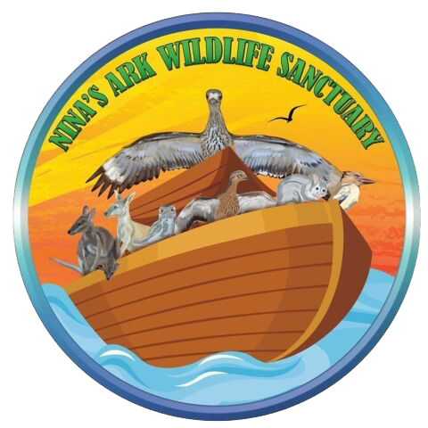 Wildlife Sanctuary in the Northern Territory Nina's Ark Wildlife