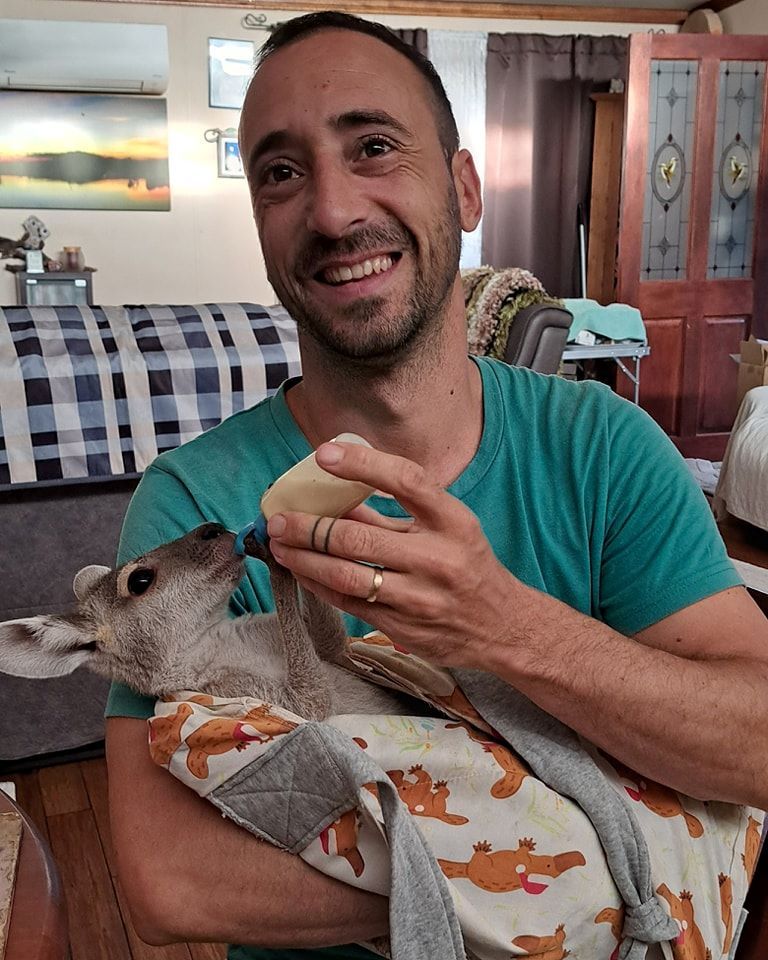 A Man is Feeding a Baby Kangaroo From a Bottle — Nina's Ark Wildlife Sanctuary In Finniss Valley, NT