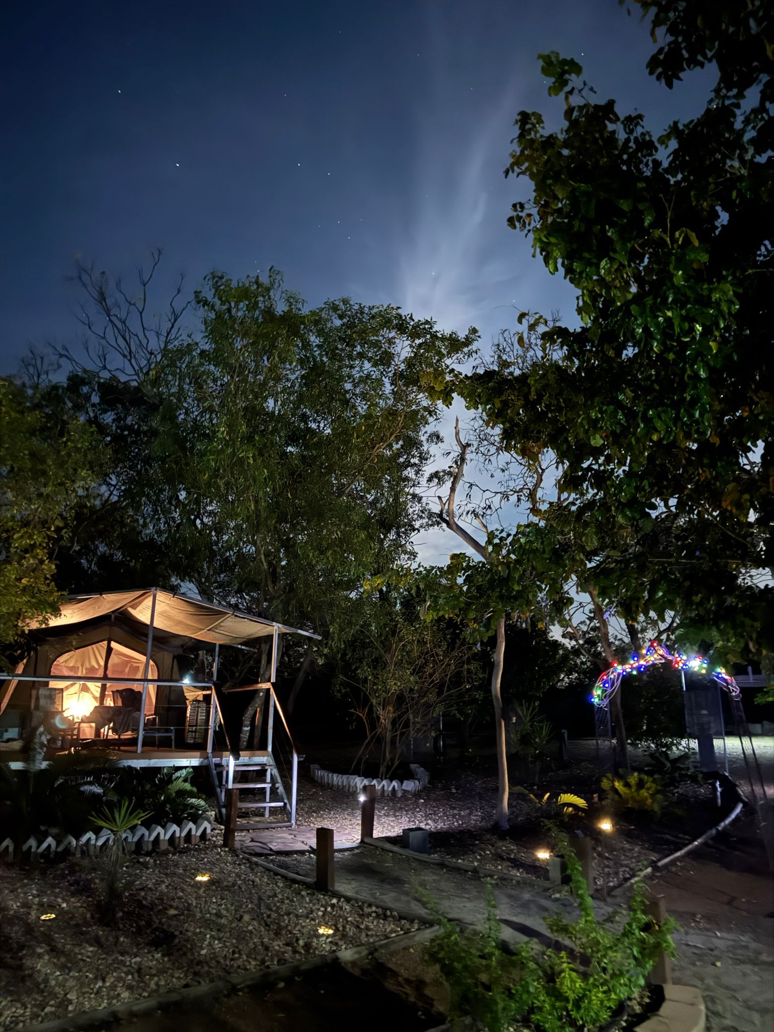 A Garden Filled With Lots of Trees and Plants — Nina's Ark Wildlife Sanctuary In Finniss Valley, NT