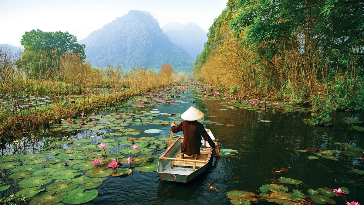 Person in boat navigates a waterway with lily pads, bordered by trees, mountains in background.