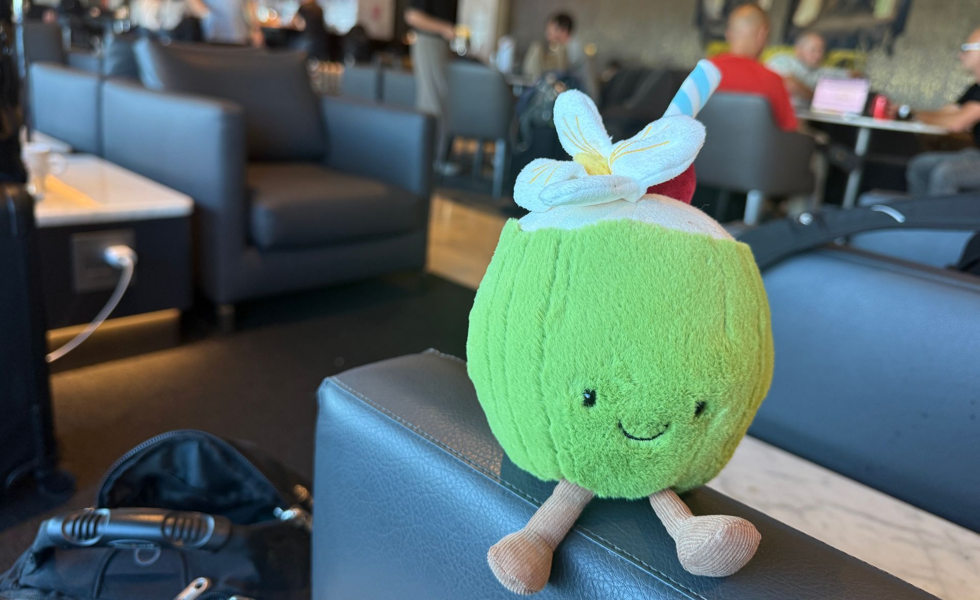 Coco relaxing in Polaris Lounge