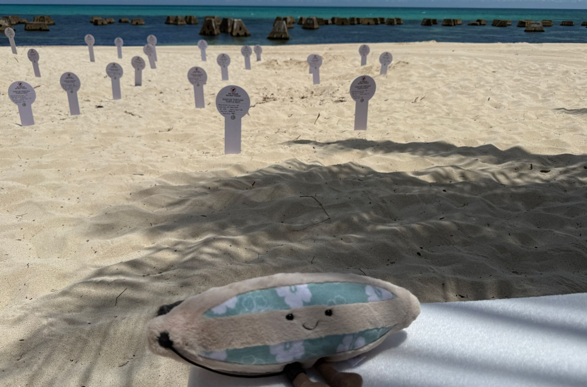 Sunny the Surfboard plush near turtle nesting markers at El Dorado Casitas, highlighting sea turtle.