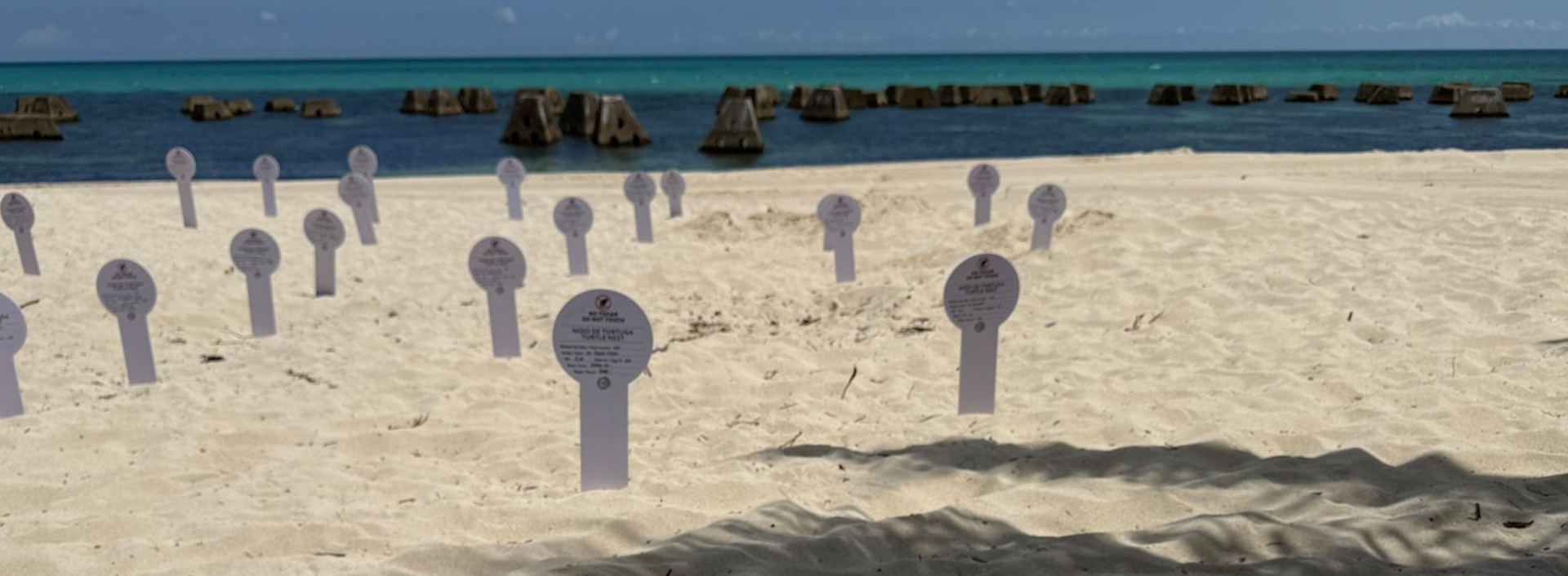Plush surfboard toy on beach with many white signs; ocean in background.