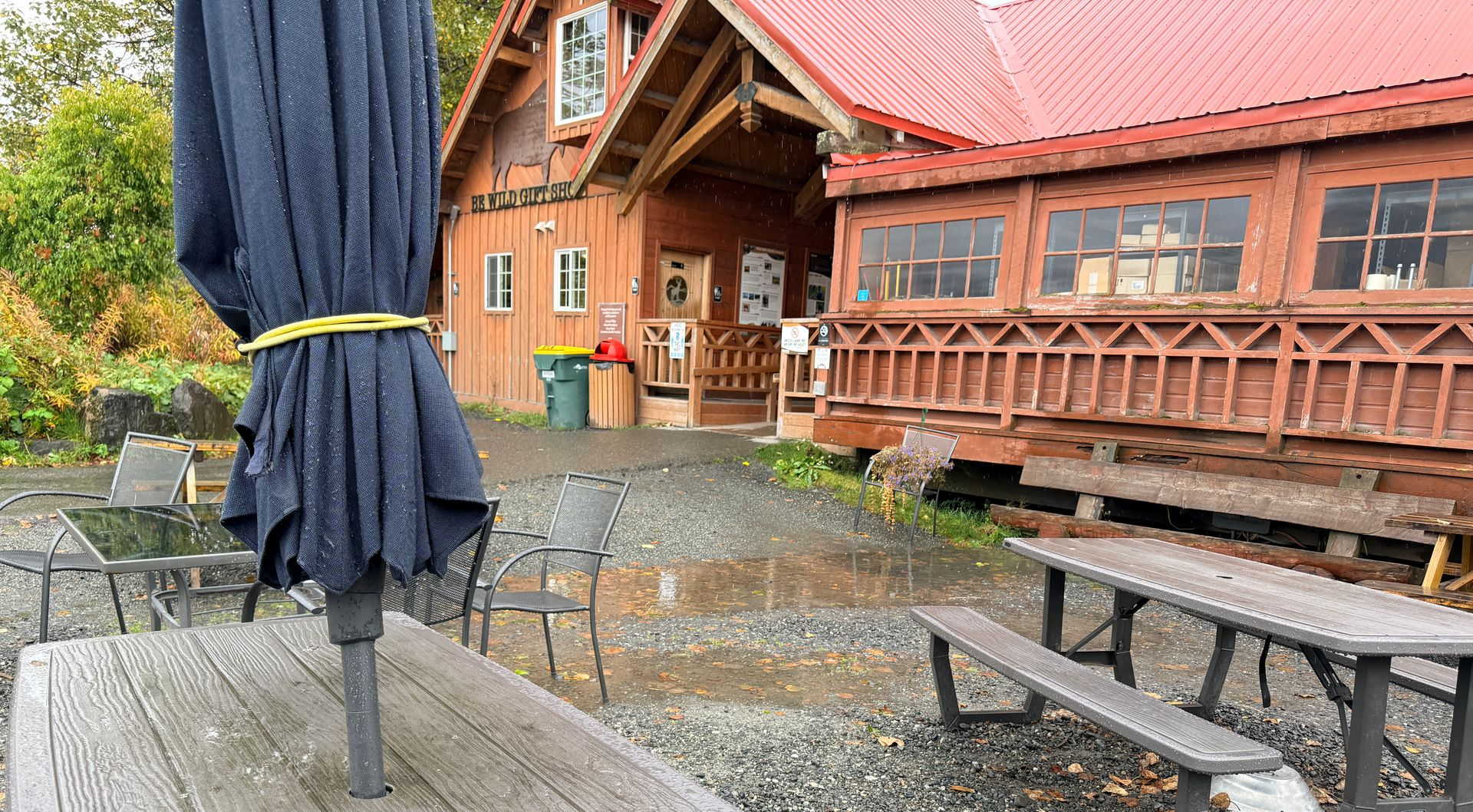 Alaska Wildlife Conservation Center, Girdwood, Alaska