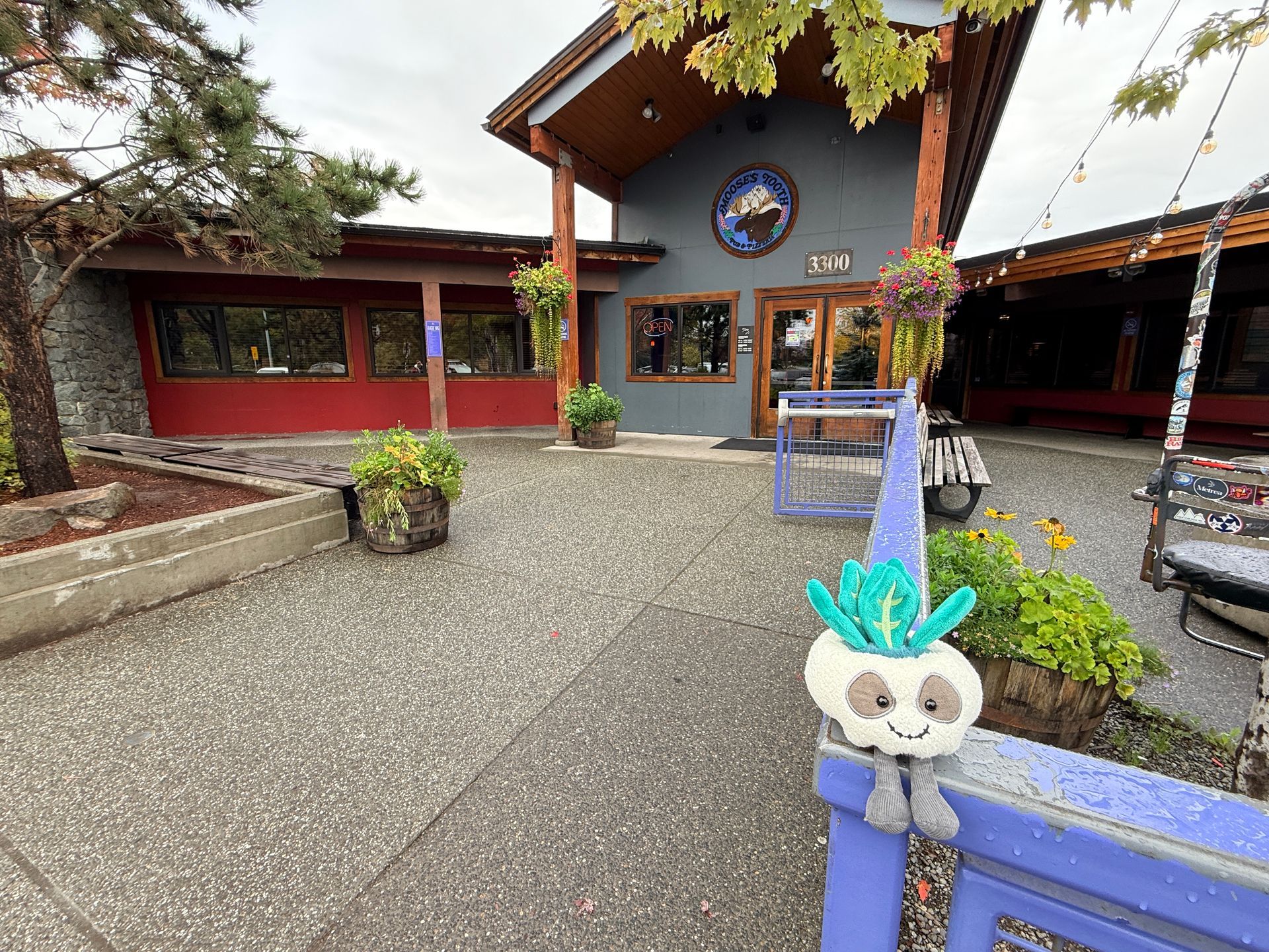 Calavino the Candy Skull Latitude Buddy standing outside Moose’s Tooth Pub & Pizzeria in Anchorage, 