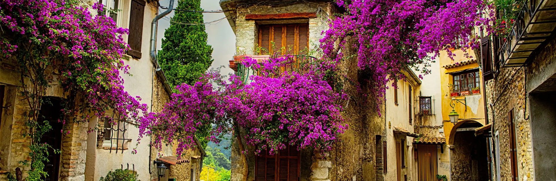 Stone buildings with vibrant purple bougainvillea cascading down, an alleyway scene.