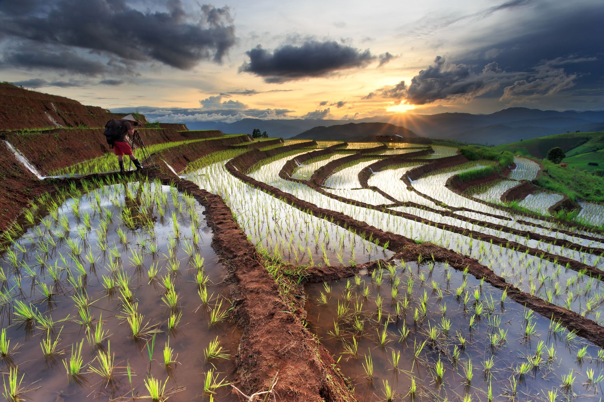 Terraced rice paddies reflecting water, with a person working; sunset in background.