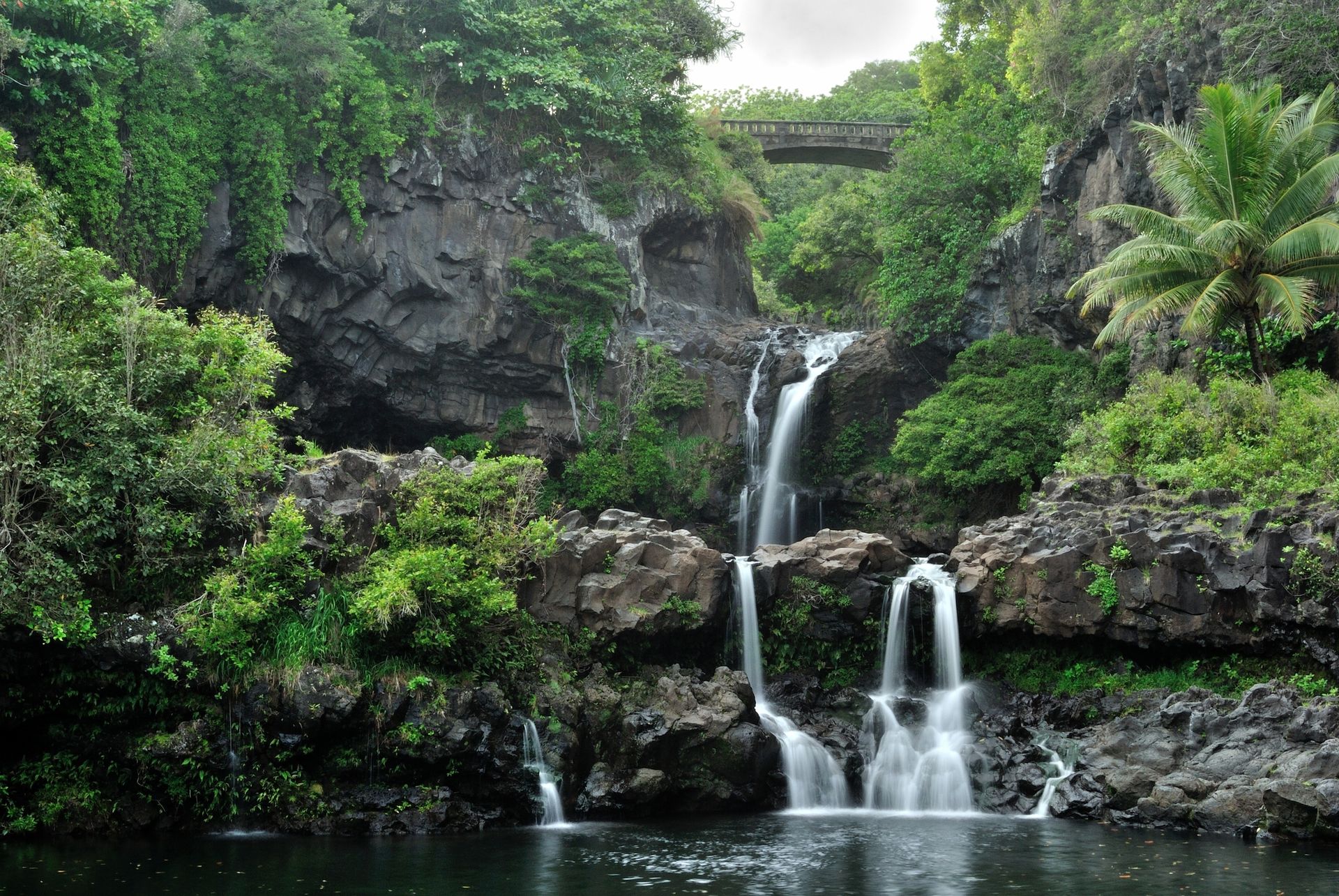 Waterfall cascading into a pool surrounded by lush green foliage and dark rocks.