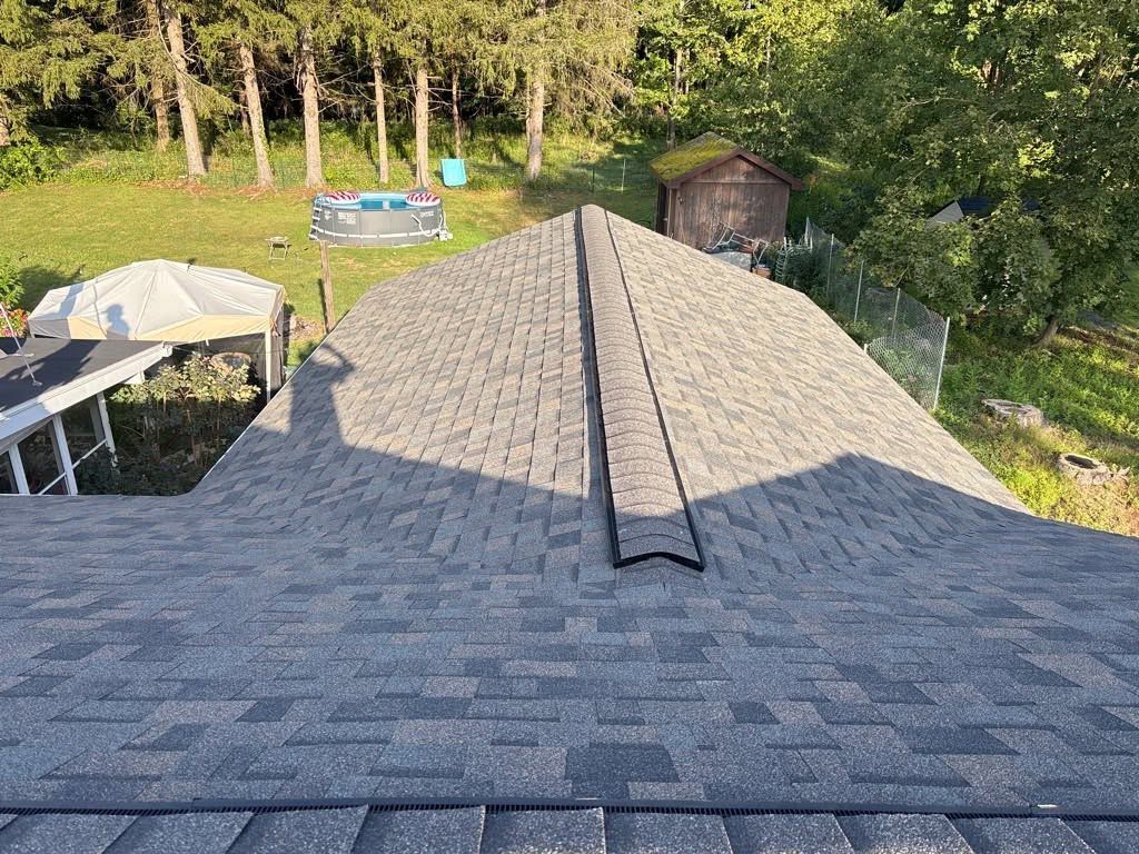 Roof shingles viewed from above, with trees and a backyard visible in the distance.