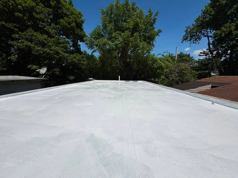 White flat rooftop under a bright blue sky, with trees around the edges.