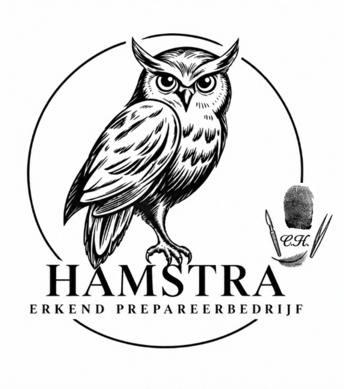 Chris Hamstra Erkend Preparateur