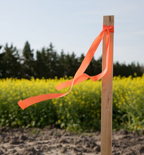 Survey Stake — Hilo, HI — Crossroads Land Surveying Survey Stake — Hilo, HI — Crossroads Land Surveying
