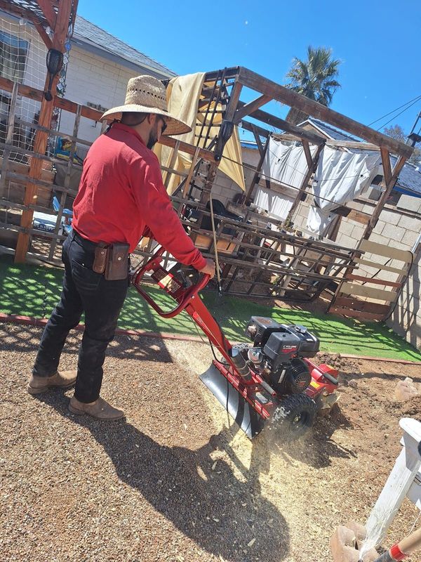 stump grinding