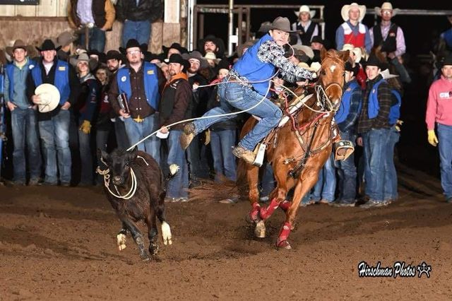 Rodeo rider on a bucking horse ropes a calf in an indoor arena with spectators behind.