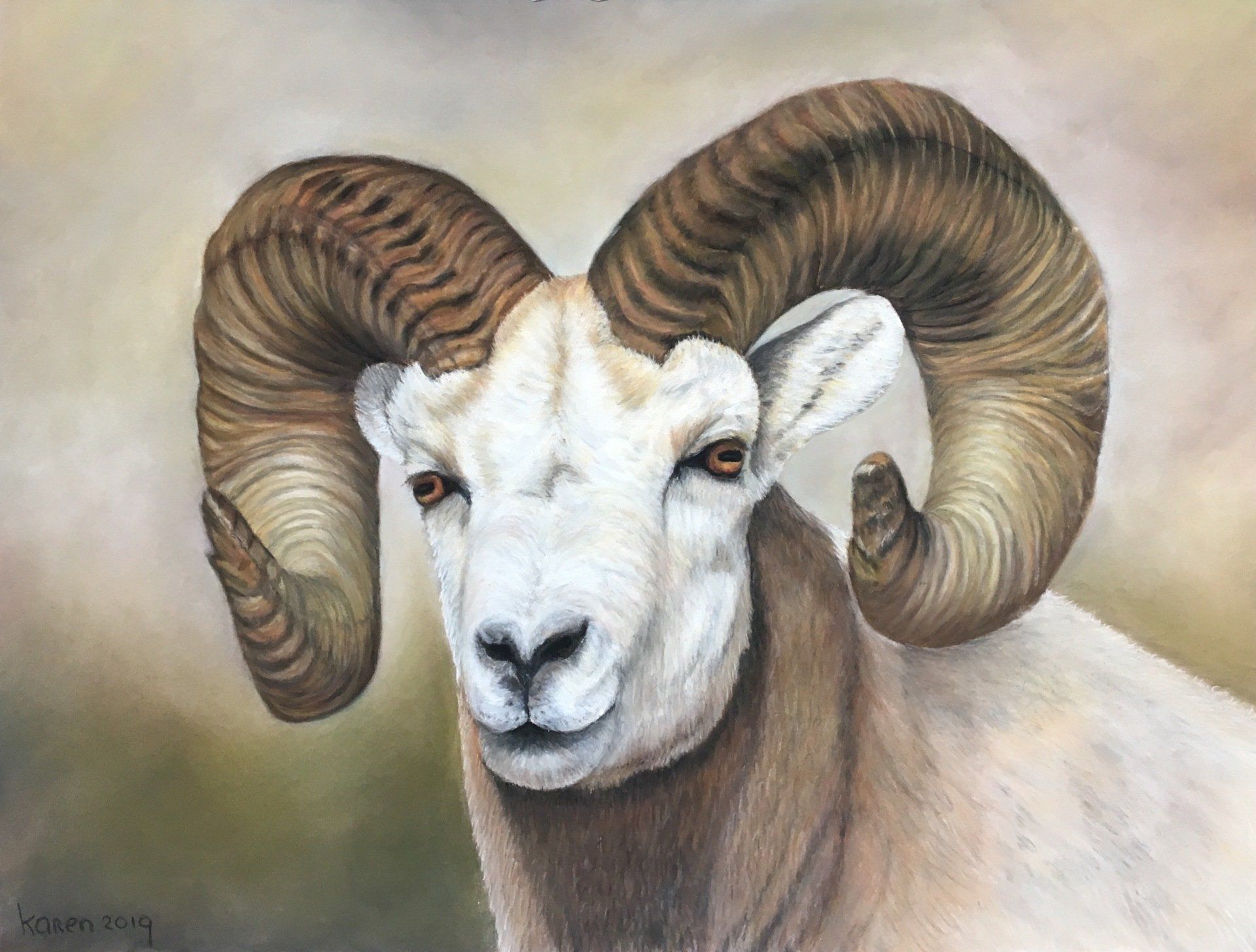 Tekening van foto van stoere ram in pastelkleuren