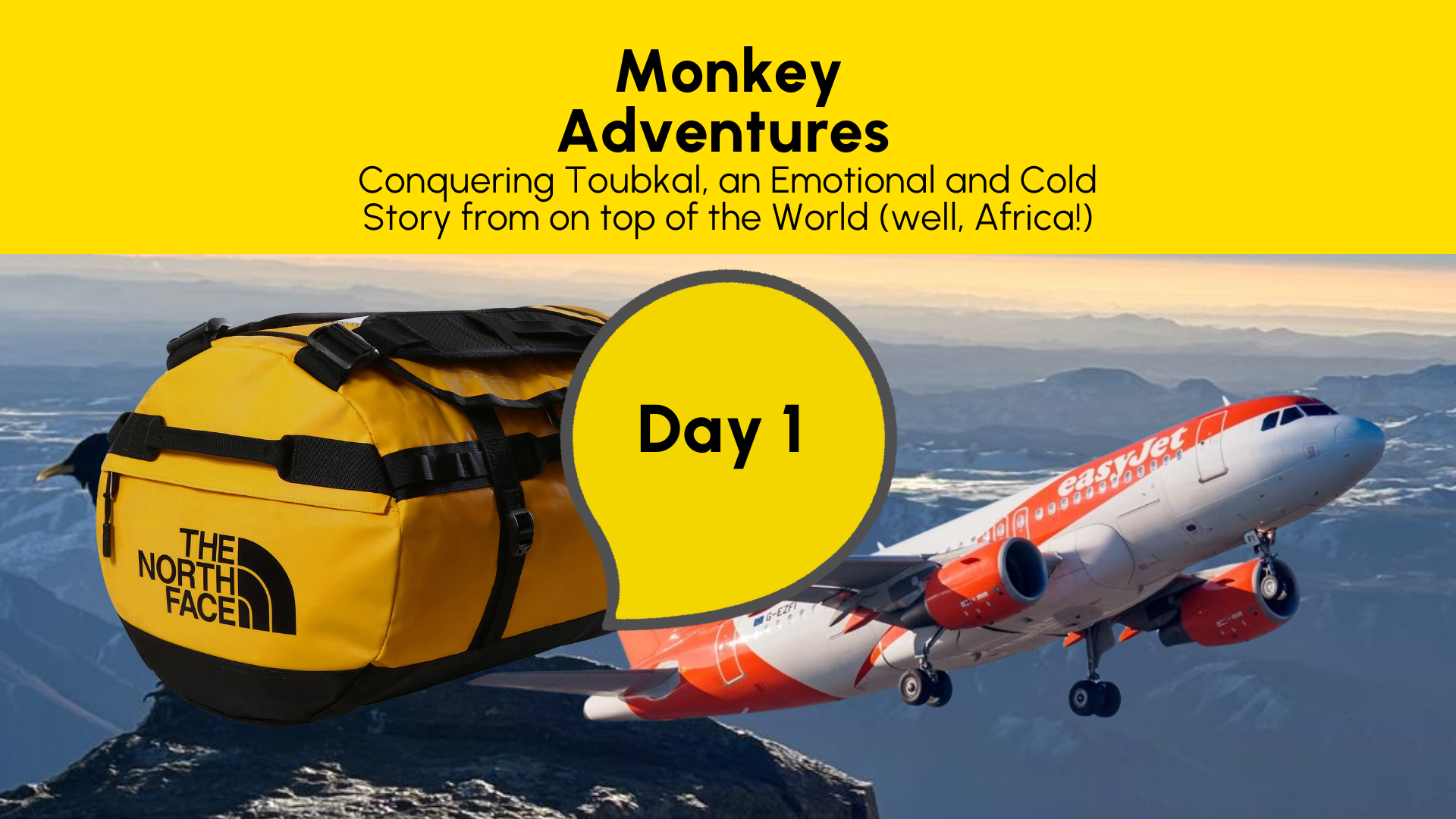 Day 1: Monkey Adventures