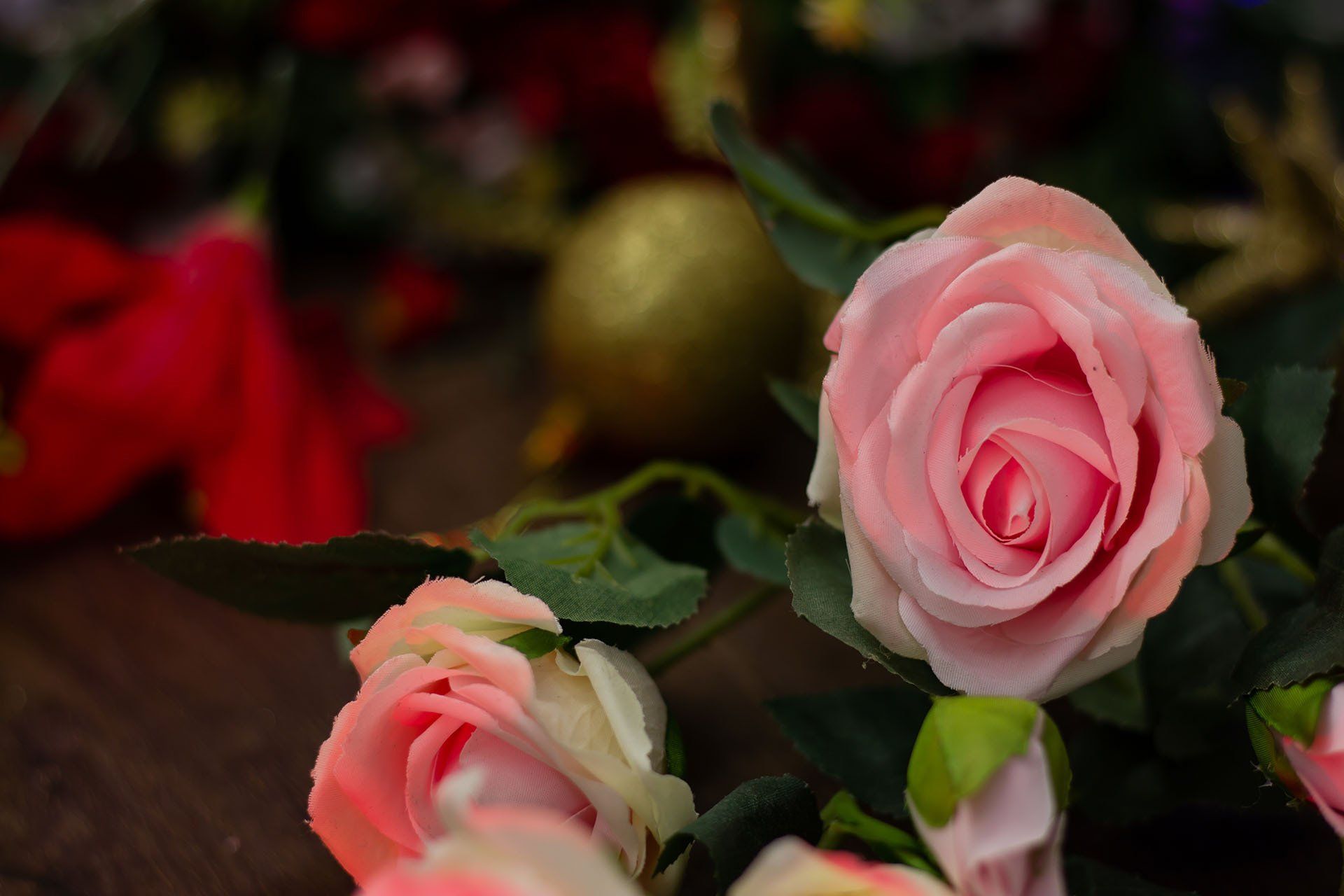 Send Flowers