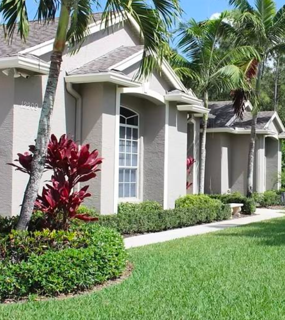 A beige vase with wheat in it against a blue background.