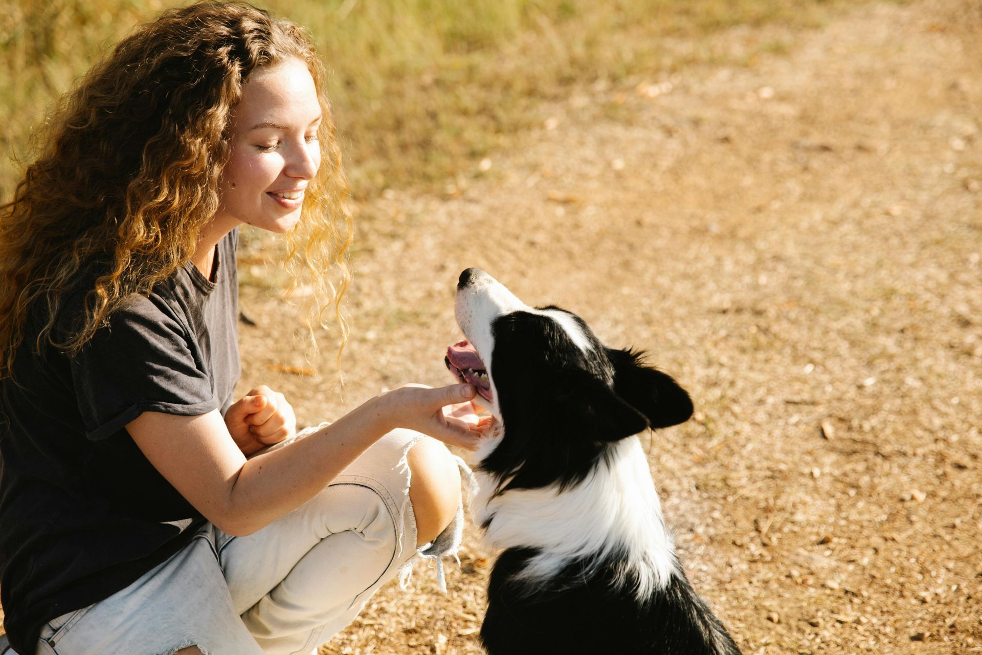 Kvinna knäböjer och ger godis till svartvit hund utomhus, leende.