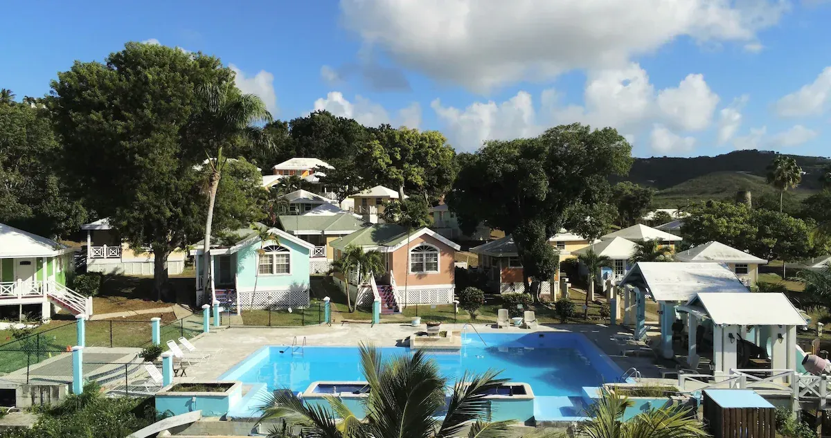 An aerial view of a swimming pool surrounded by houses and trees
